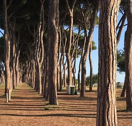 Costa Pineto